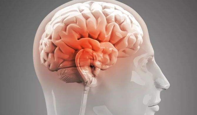 72f0353077cc4b34afcb9382e0d43e67.png 72f0353077cc4b34afcb9382e0d43e67.png